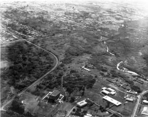 Aerial View Hilo - 1960
