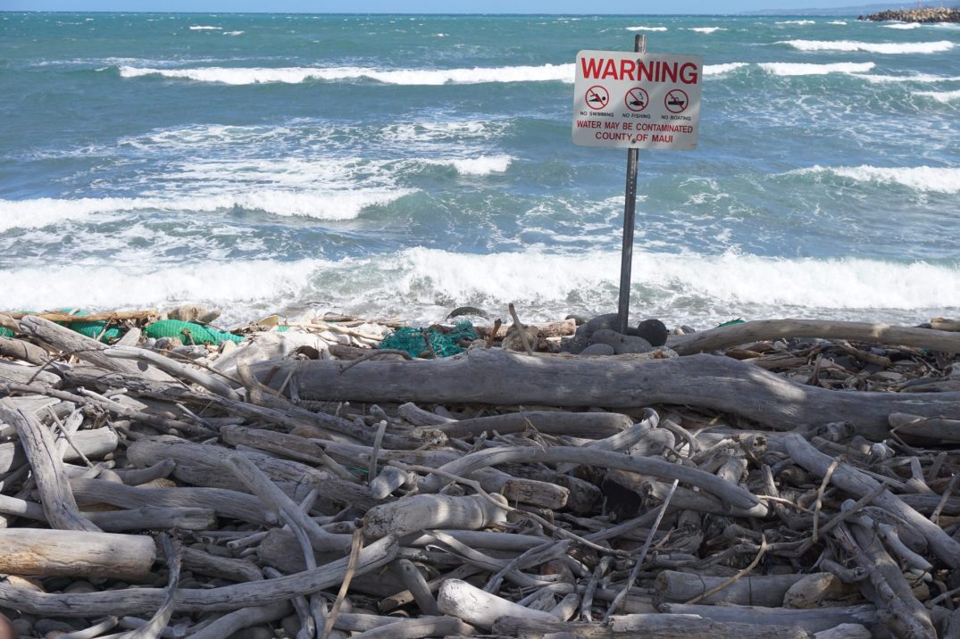 Fernando, a tireless&nbsp;hero