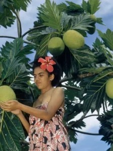 Breadfruit in the&nbsp;Pacific