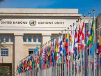 Why are we at the&nbsp;UN?