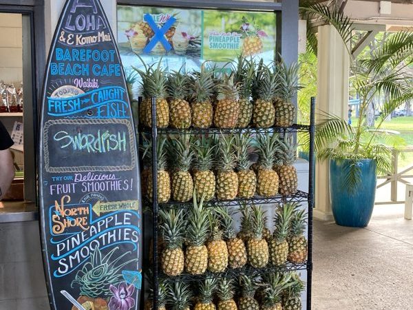 Zurück in Hawaii – Teil&nbsp;2